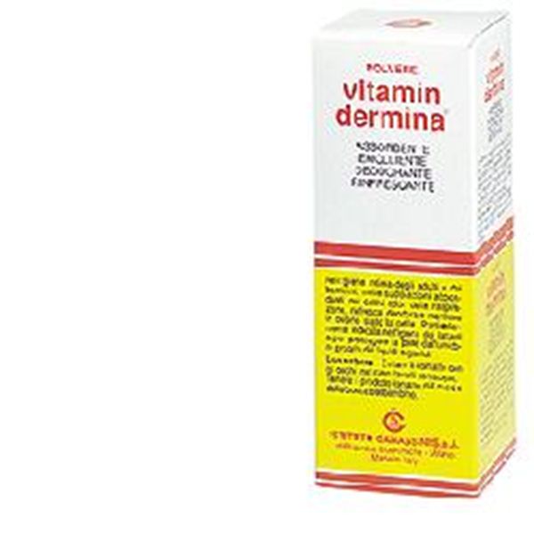 Immagine di VITAMINDERMINA POLV 100G