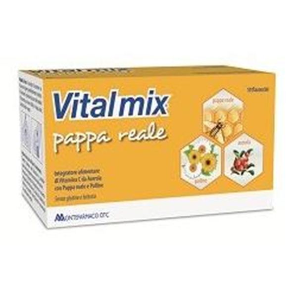 Immagine di VITALMIX PAPPA REALE 10FL