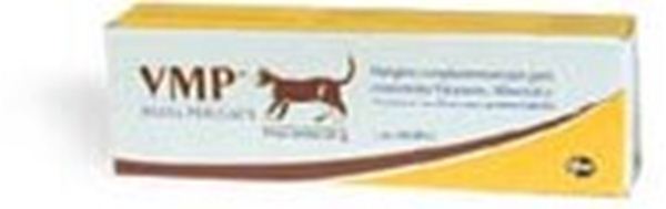 Immagine di VMP PASTA GATTI 50G