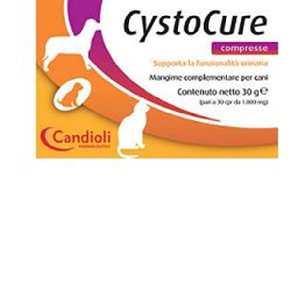 Immagine di CYSTOCURE FORTE 30G