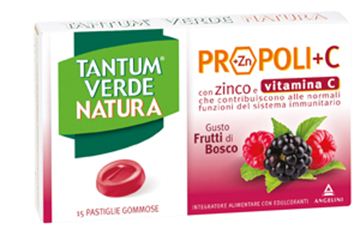 Immagine di TANTUM VERDE NATURA15PASTFRU