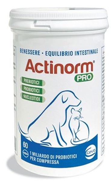 Immagine di ACTINORM PRO 60CPR
