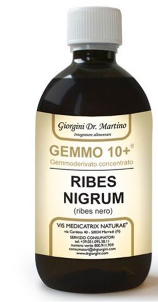 Immagine di RIBES NE ANALCOGEMMO10+500ML