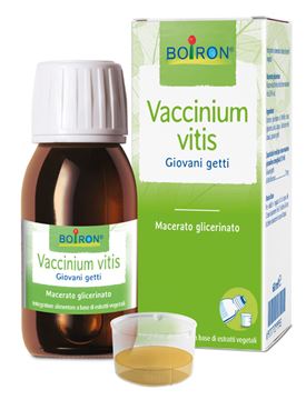 Immagine di VACCINIUM VITIS MG 60ML