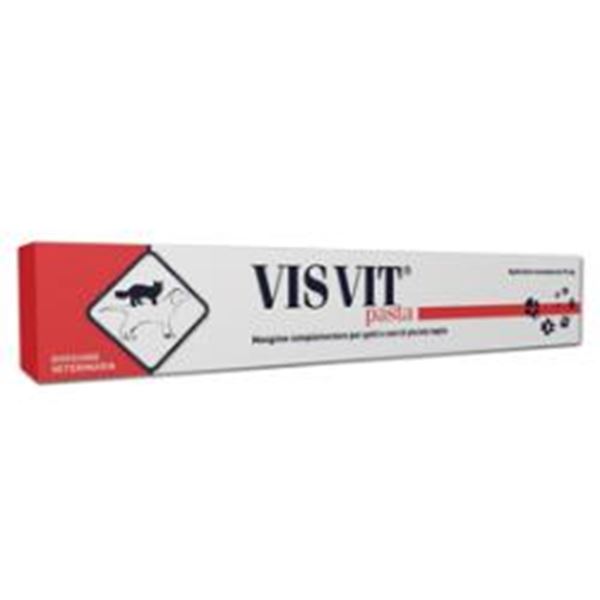 Immagine di VISVIT PASTA OS SIRINGA 15G