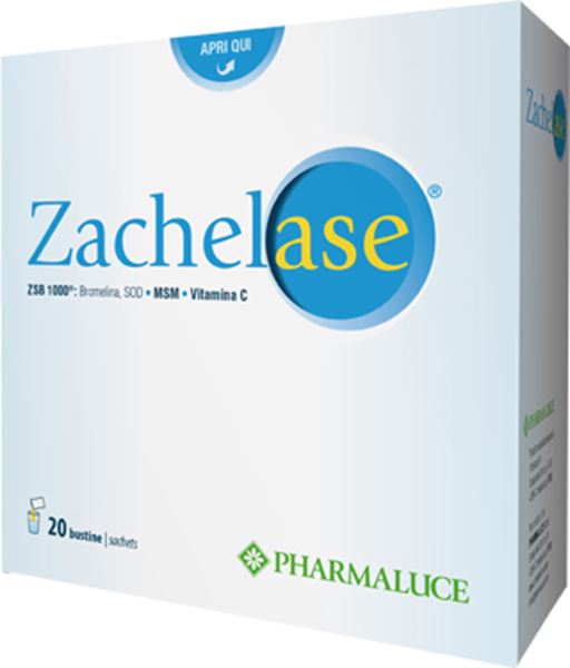 Immagine di ZACHELASE 20BUST