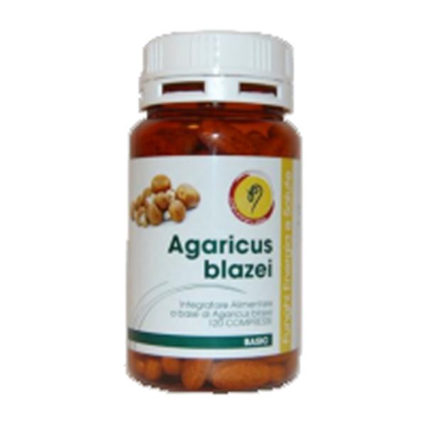 Immagine di AGARICUS LINEA BASIC 120CPR